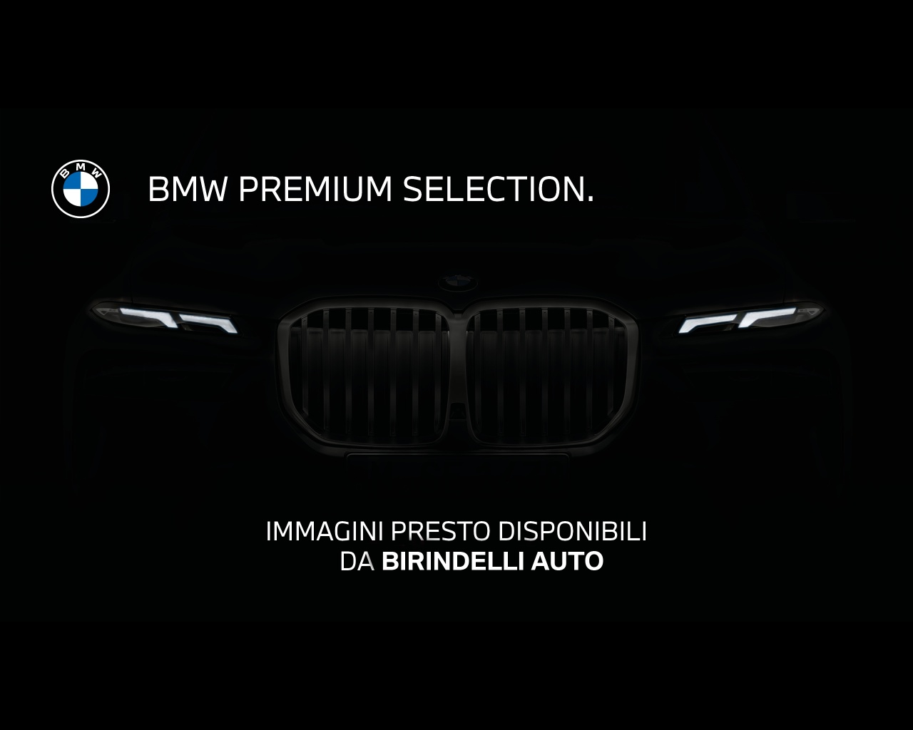 BMW X1            (F48) - X1 xDrive20d xLine Plus