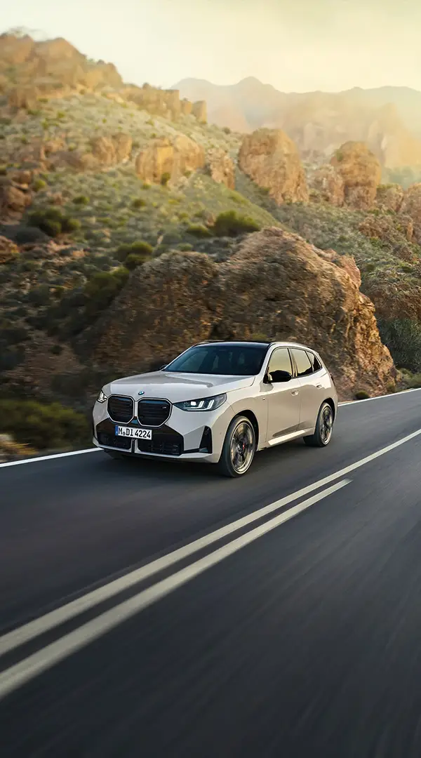 NUOVA BMW X3 DA ORDINARE