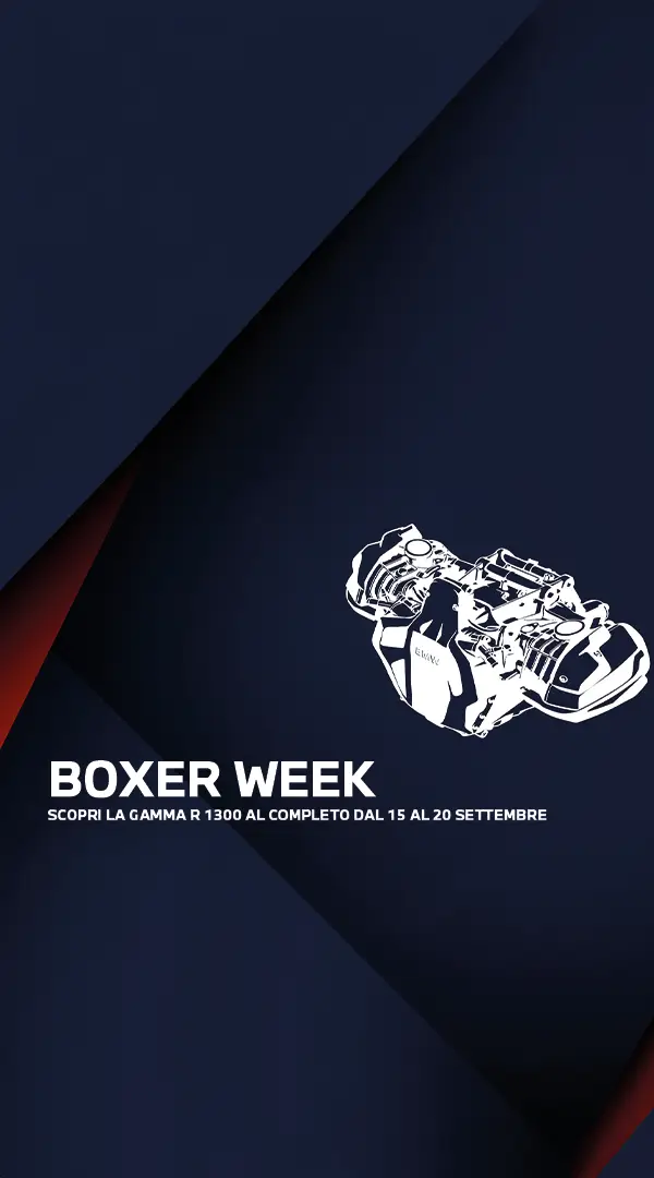 Boxer Week