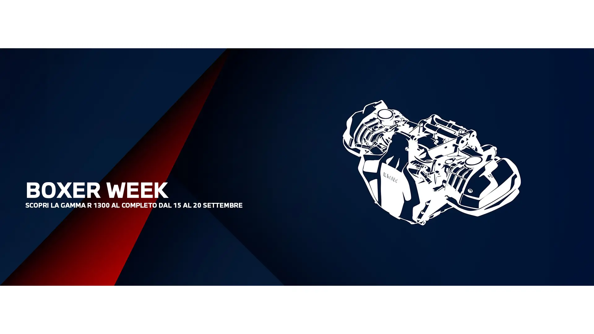 Boxer Week